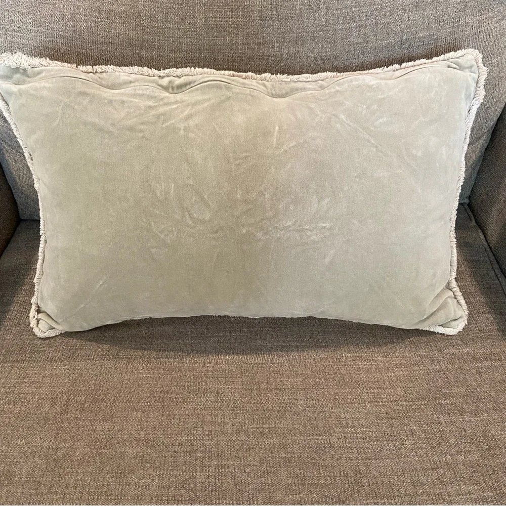 Pottery Barn Pillow case